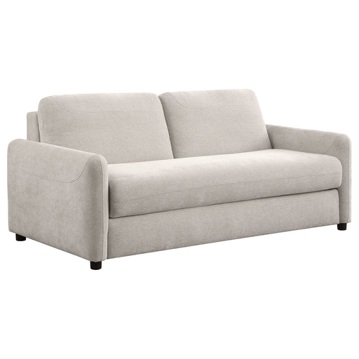 Rylie Sleeper Sofa image