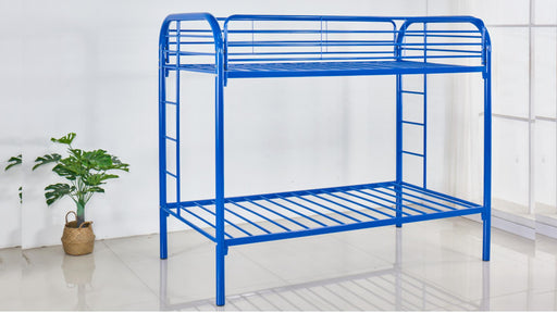 Adrianna TWIN/TWIN BUNK BED - S137 image