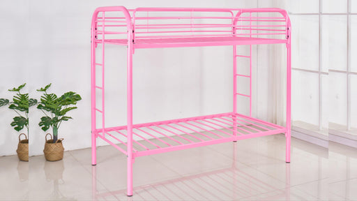 Adrianna TWIN/TWIN BUNK BED - S138 image