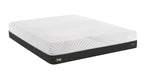 Sealy Conform Performance - Fondness Cushion Firm 11" Mattress - Factory Furniture Outlet Store